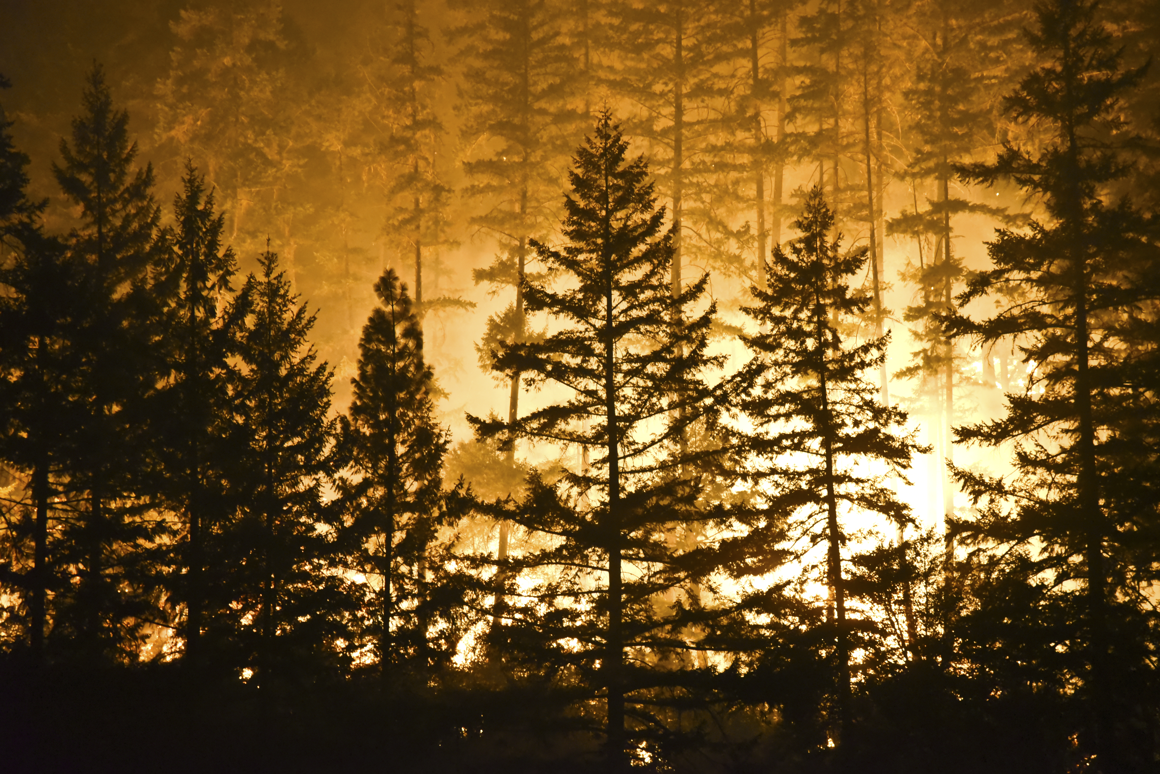 How the Fort McMurray wildfire has affected the Calgary and Edmonton rental property markets. — CEO's Corner article by Shamon Kureshi of Hope Street Property Management